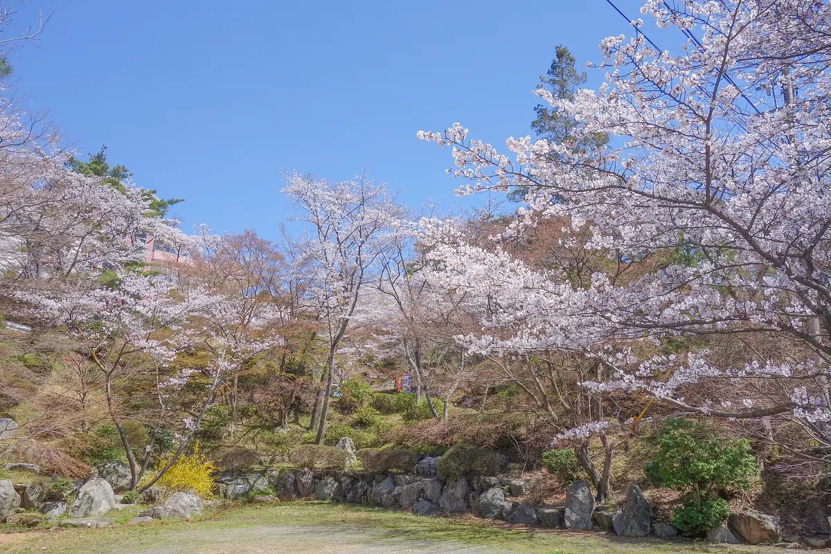 🌳 관음산 가족 공원 (칸논야마 패밀리 파크) 이미지 6